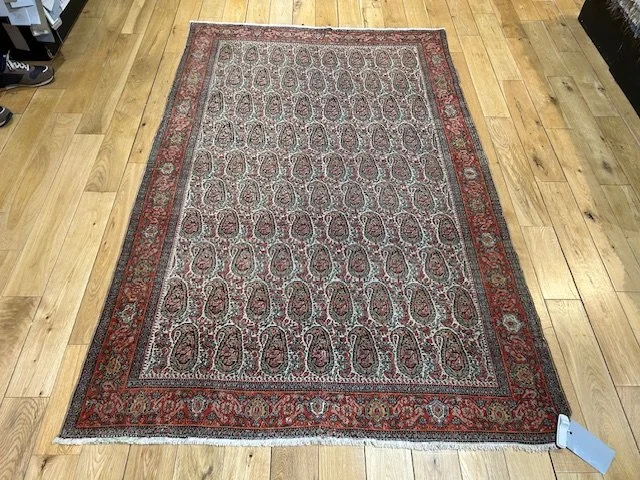 image5 - 2026-01-31T104330.784.jpeg