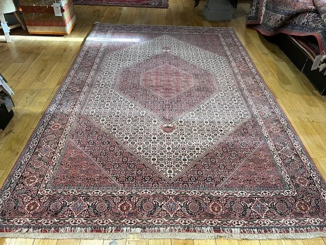 image0 - 2026-03-03T173445.026.jpeg