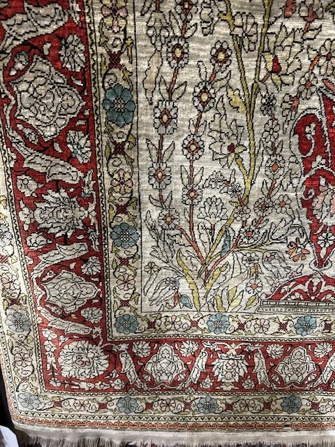 image1 - 2026-01-31T114247.850.jpeg