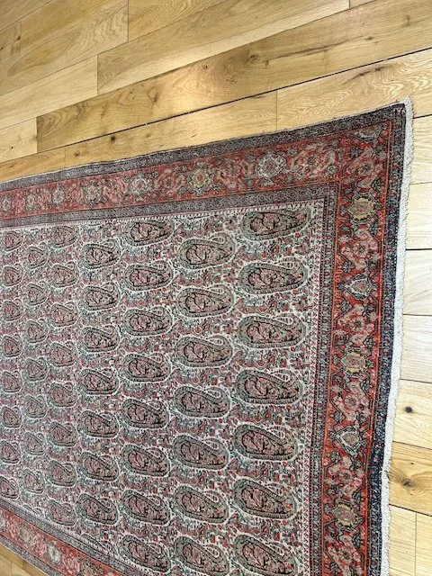 image1 - 2026-01-31T104324.220.jpeg