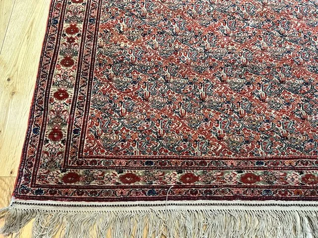 image1 - 2025-07-14T132636.443.jpeg