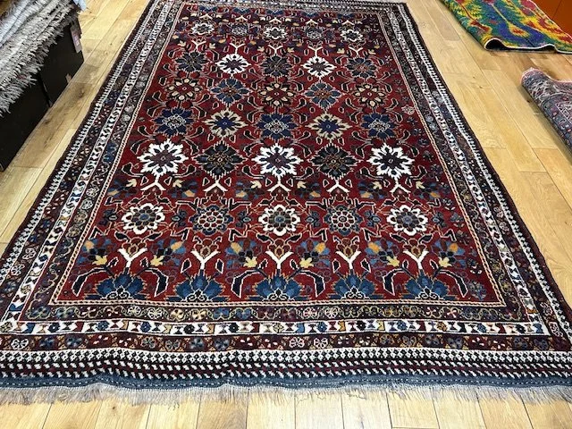 image0 - 2026-04-07T165640.668.jpeg