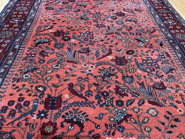 image14 (44).jpeg