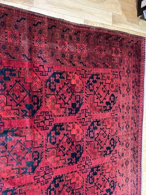 image5 - 2026-02-02T125434.807.jpeg