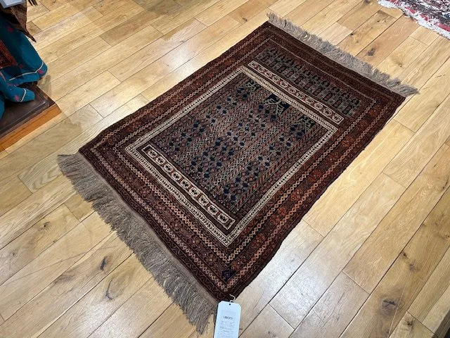 image6 - 2026-02-12T124651.033.jpeg