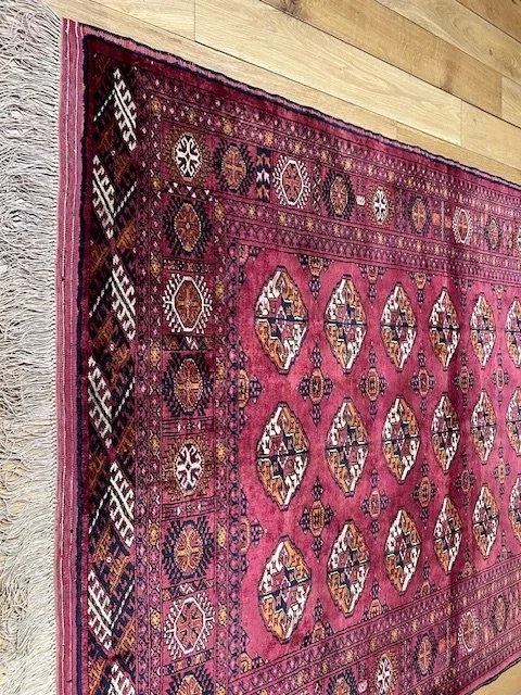 image2 - 2026-01-31T125613.062.jpeg