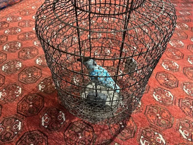 image2 - 2025-09-17T114023.040.jpeg