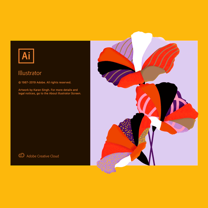 Adobe Illustrator Splash