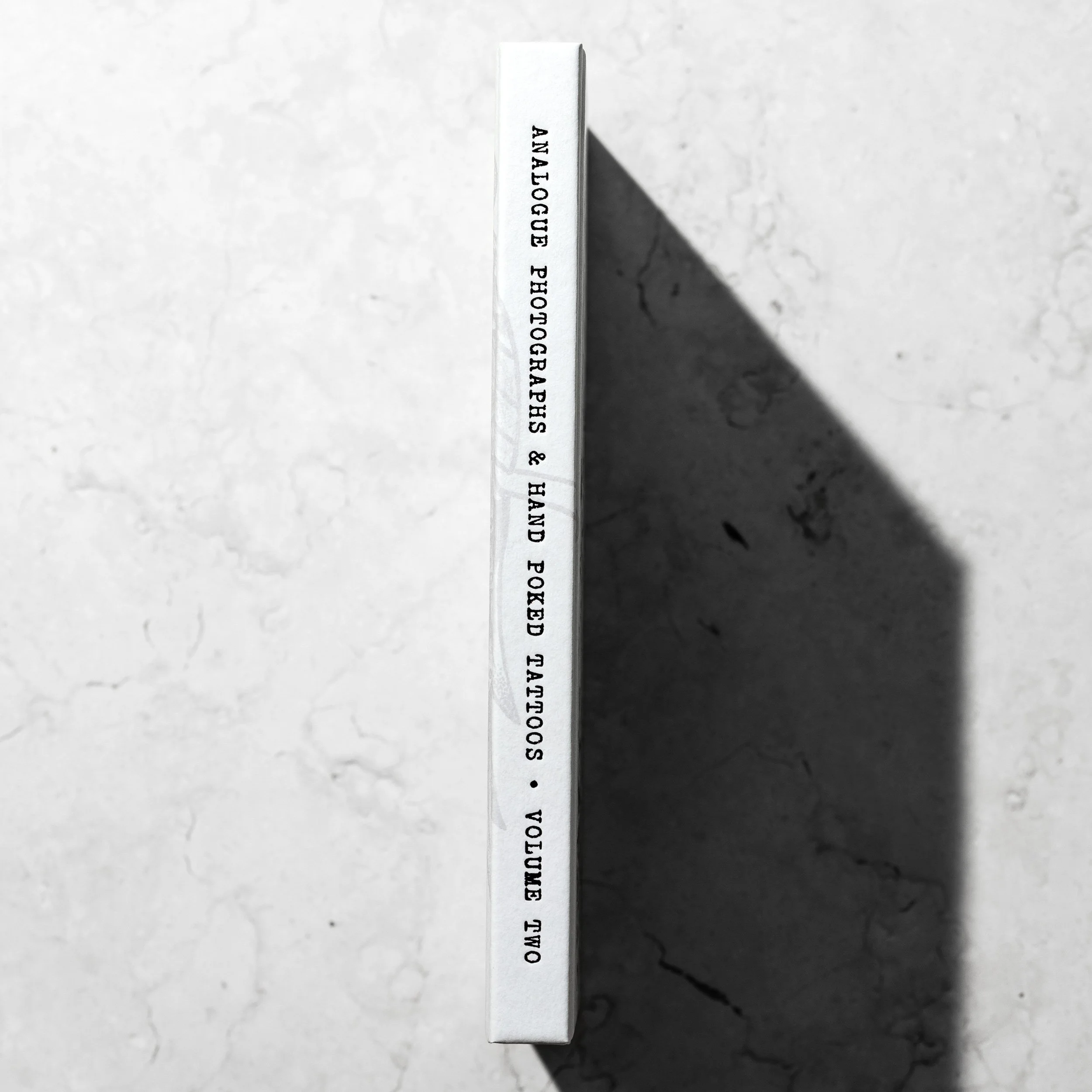 3-spine.jpg