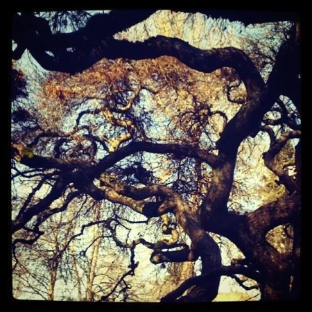 Go-oo--od Morning, Bloglandia!