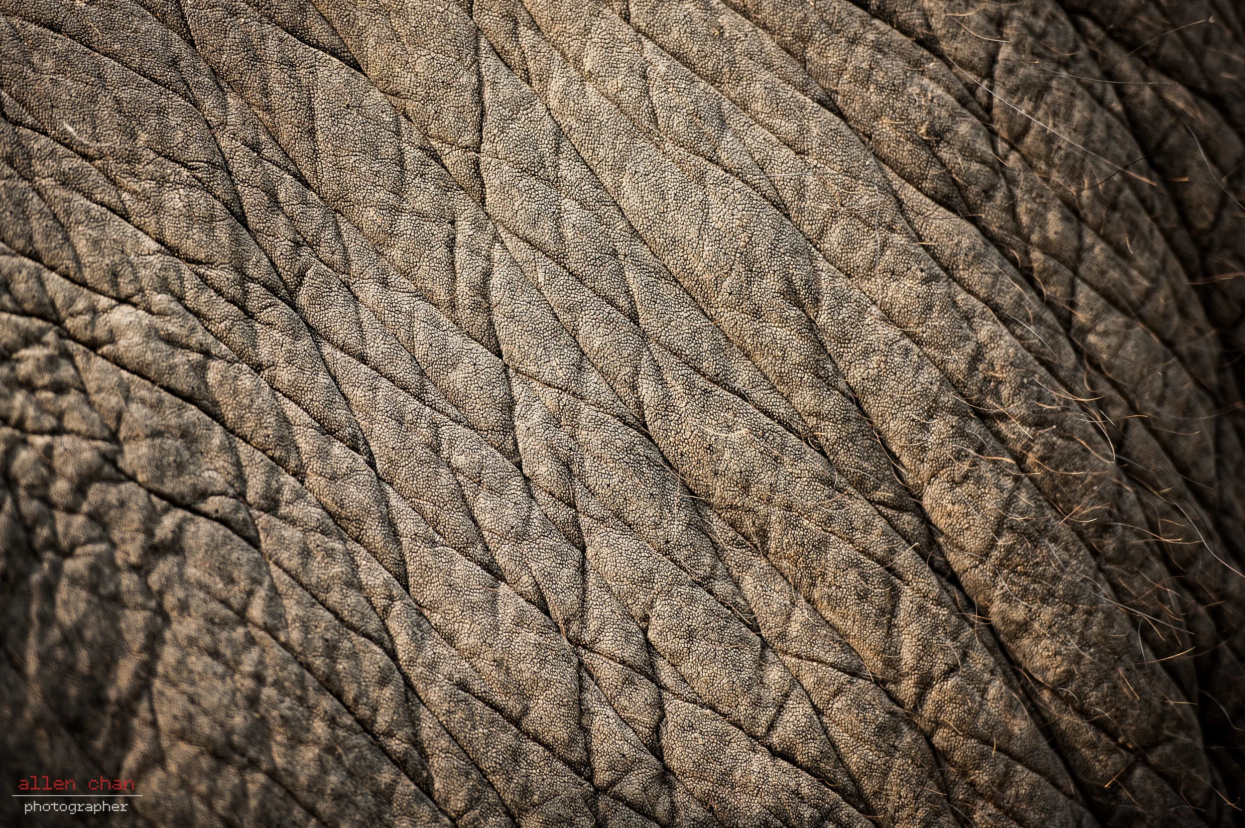 DSC_1666.jpg