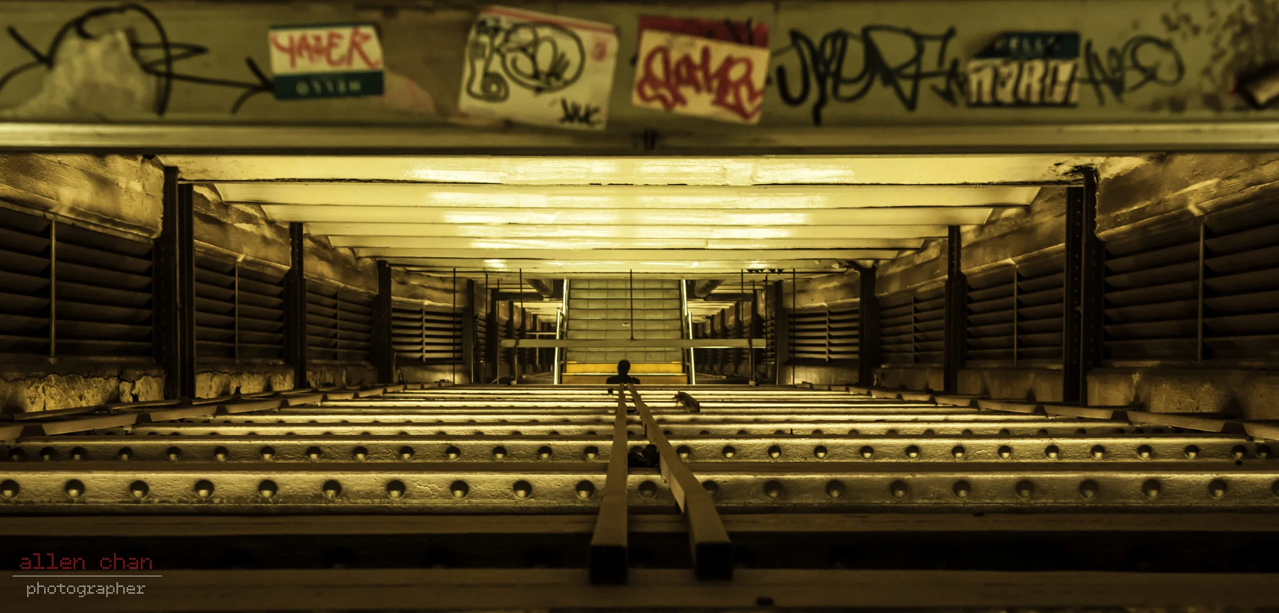 DSC_1309.jpg