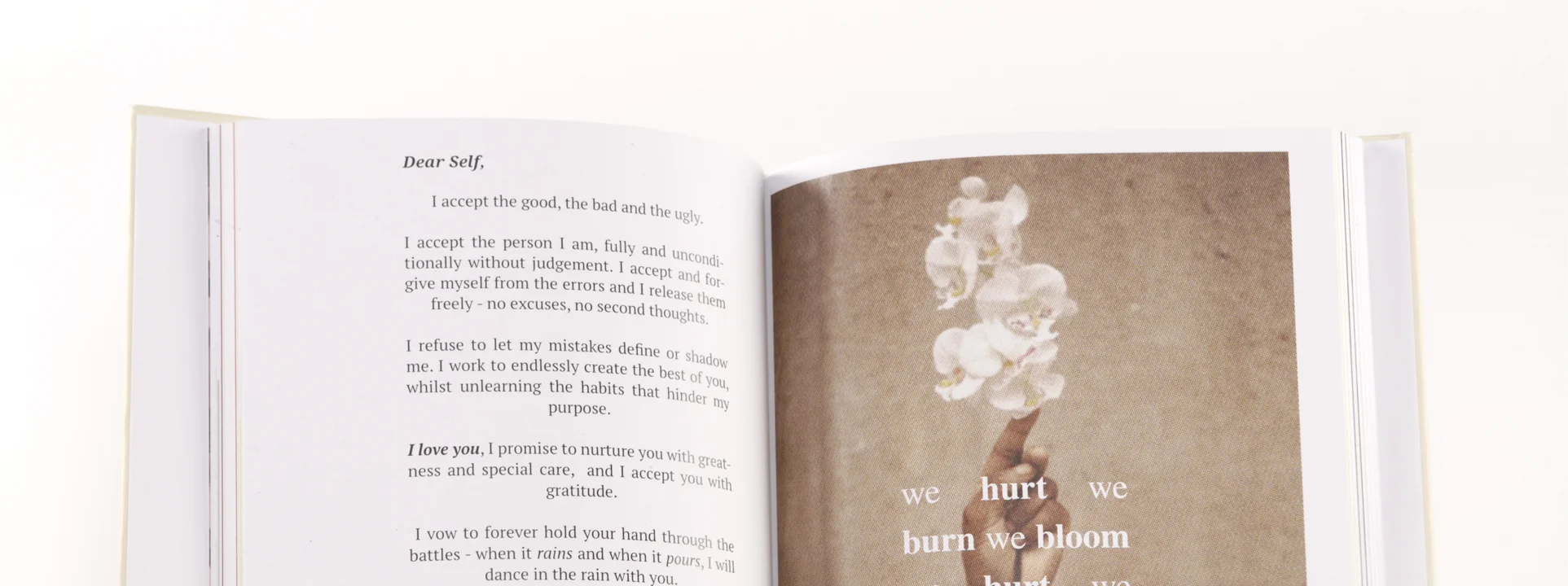 FMP_BANNER_Book.jpg