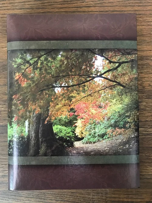 M41 AUTUMN PATH $30.00
