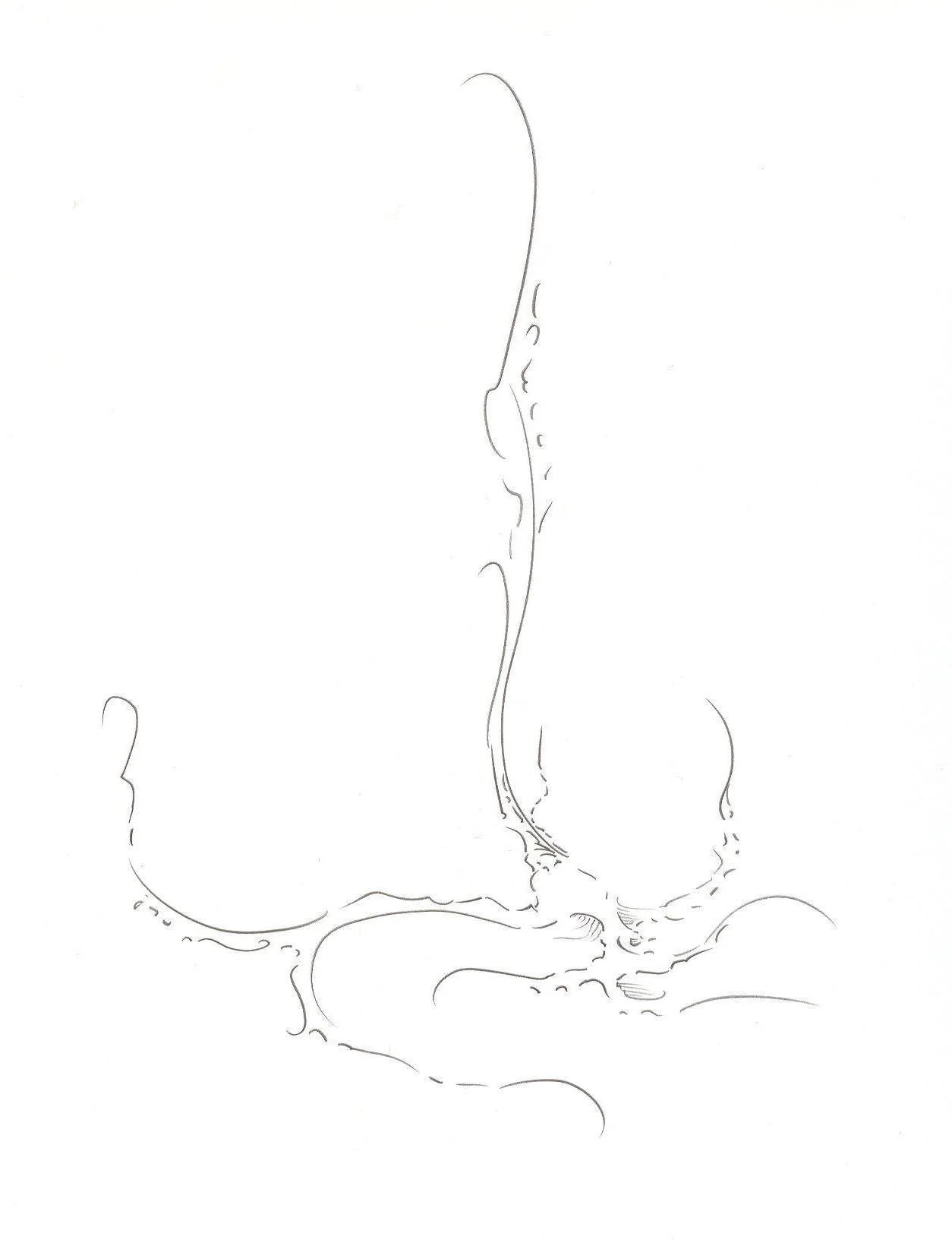 quill.jpg