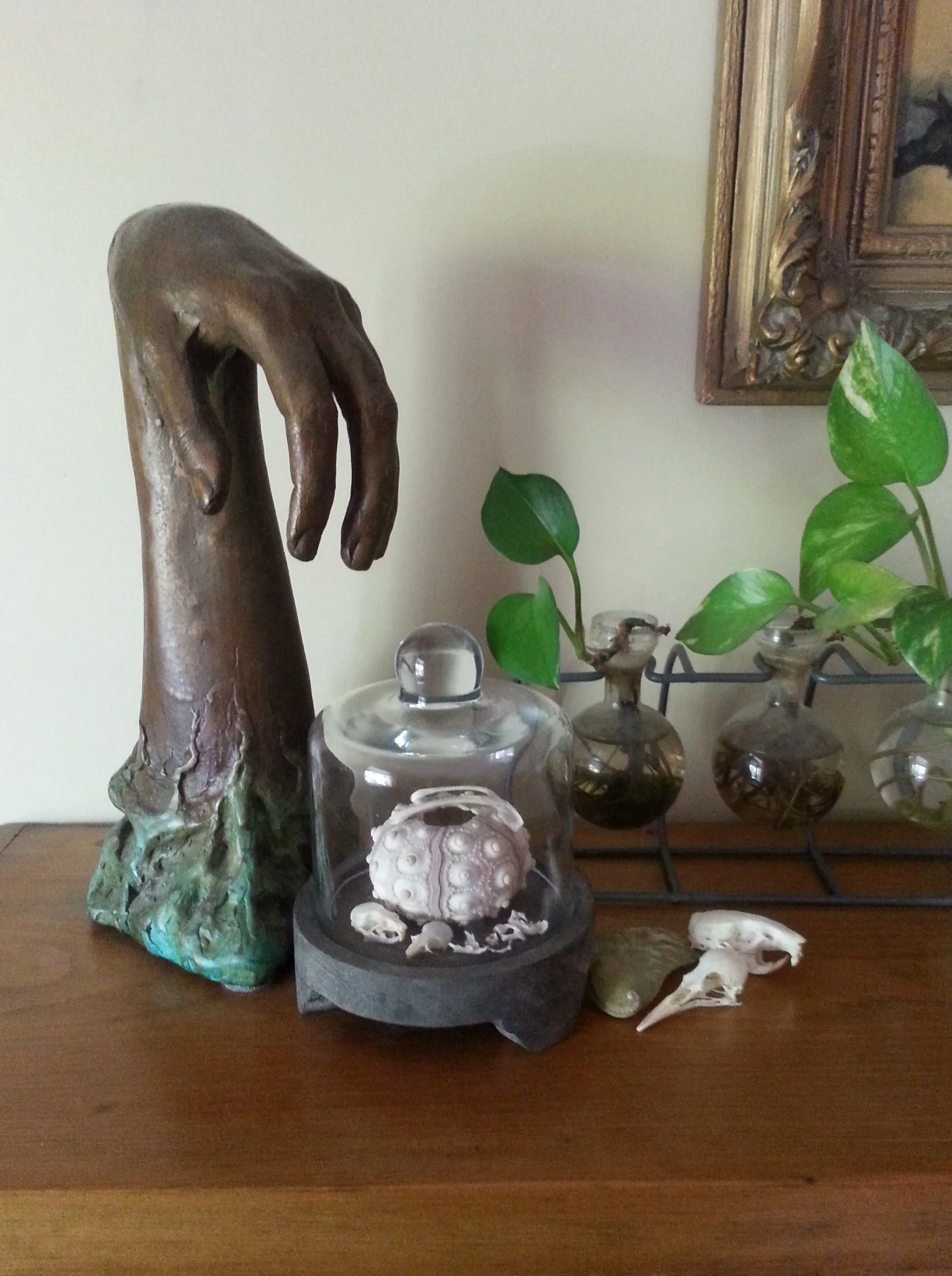 bronze sculpture of own hand. collection of self-cleaned skulls.
