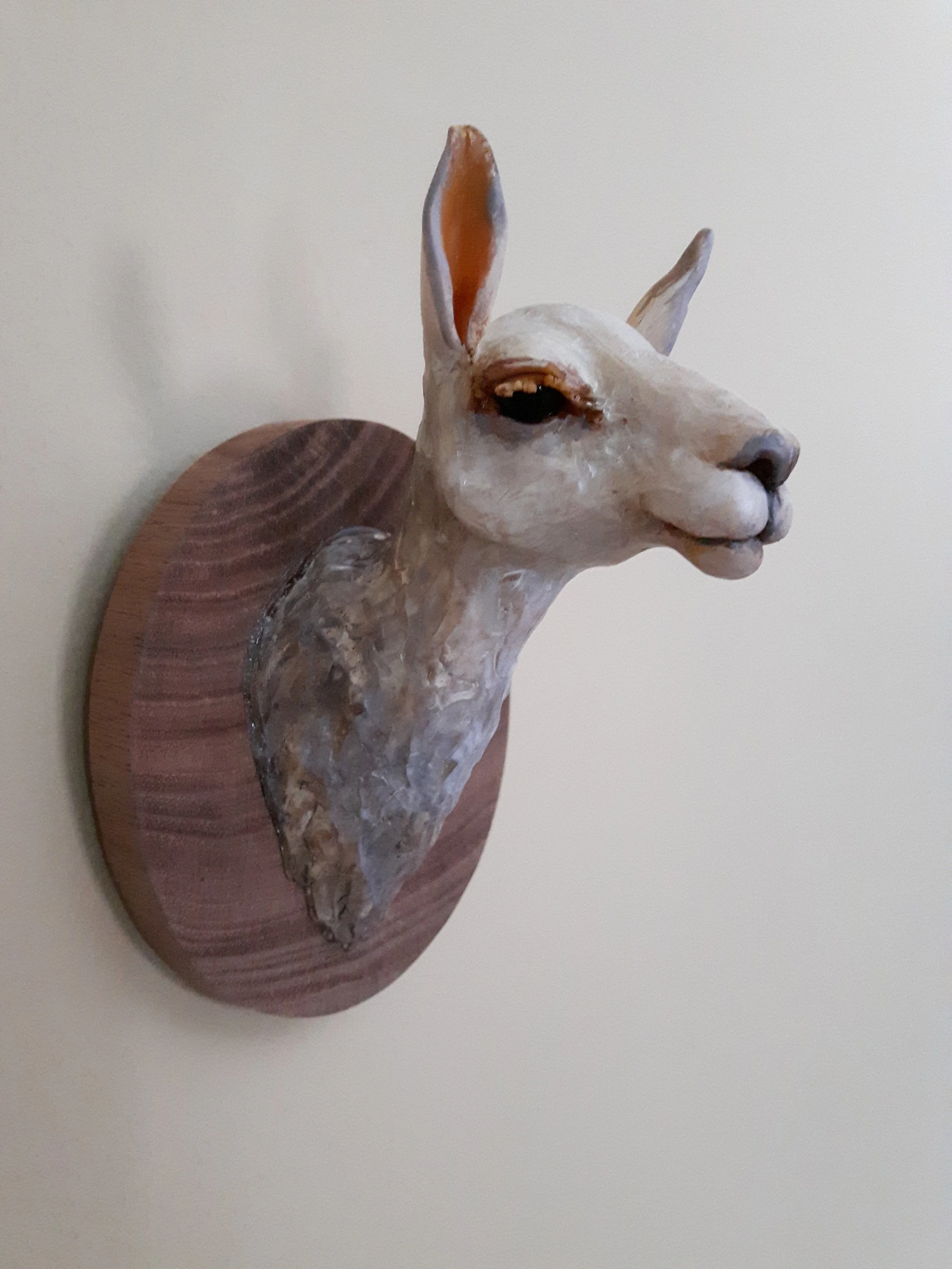 llama 217.jpg