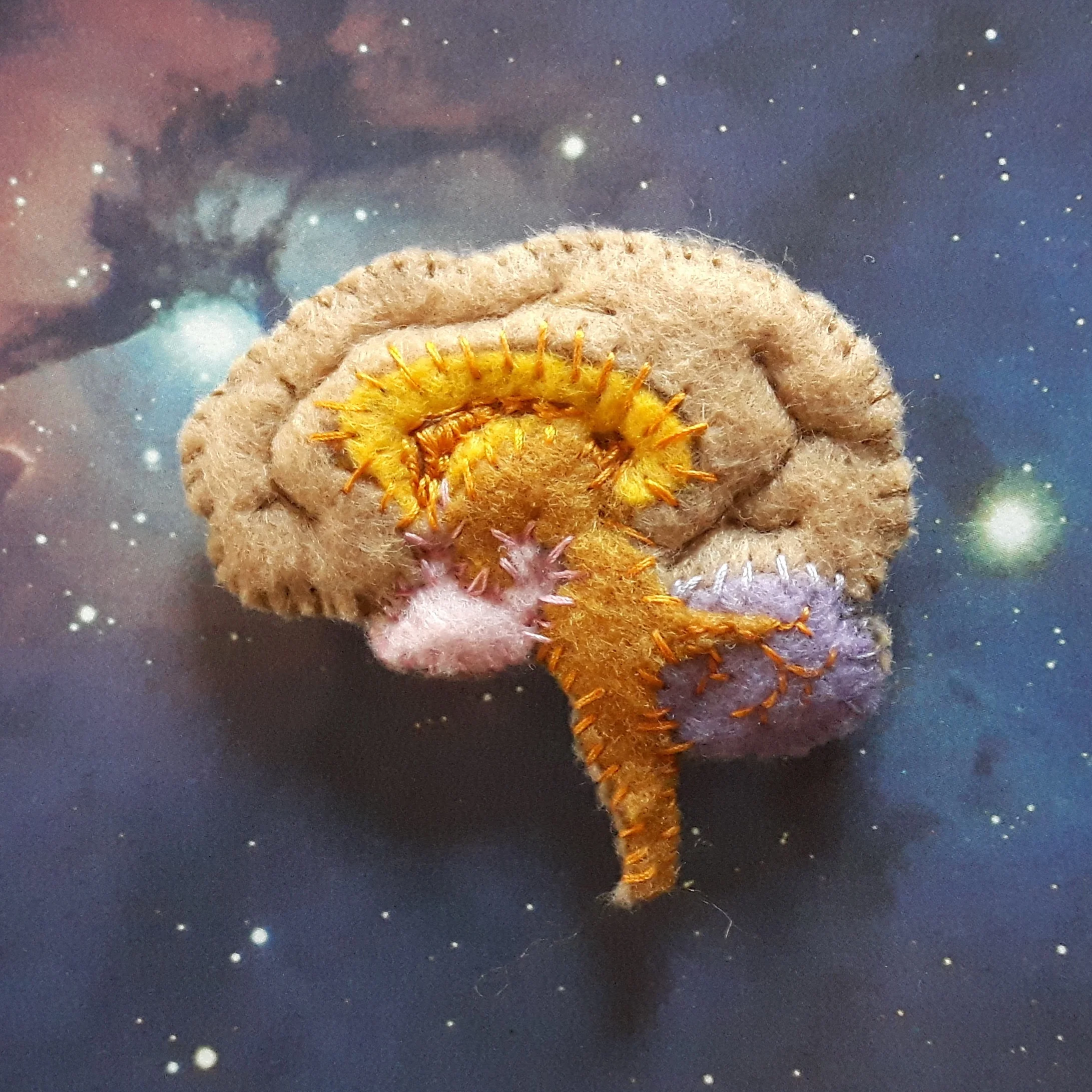 NandNbrain.jpg