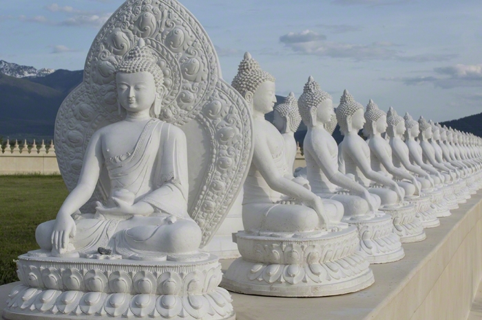BUDDHA SPOKE #1