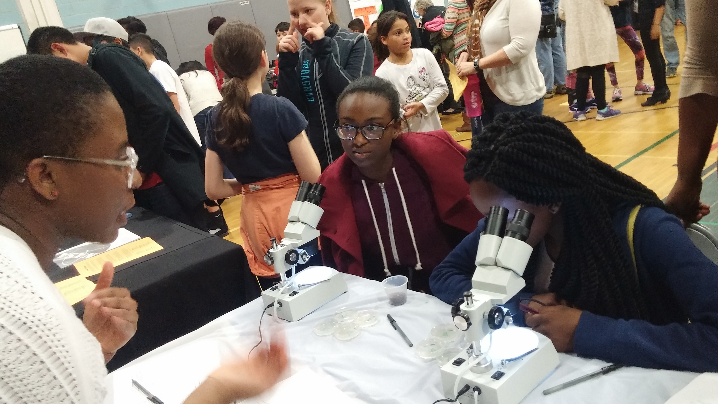  Scientist and volunteer Camille Davis engages students and explains what to look for when examining worm movement. 
