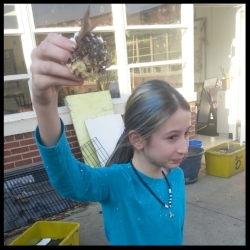 Sometimes cupcakes fall on the ground. The look of defeat!