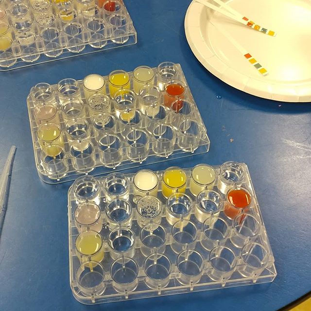A little food #chemistry goes a long way. Testing common foods and household items to measure their #pH. The next few weeks will be food based. #Staytuned #FiLS #livelearnshare #STEMkids #STEM4All #girlsinSTEM