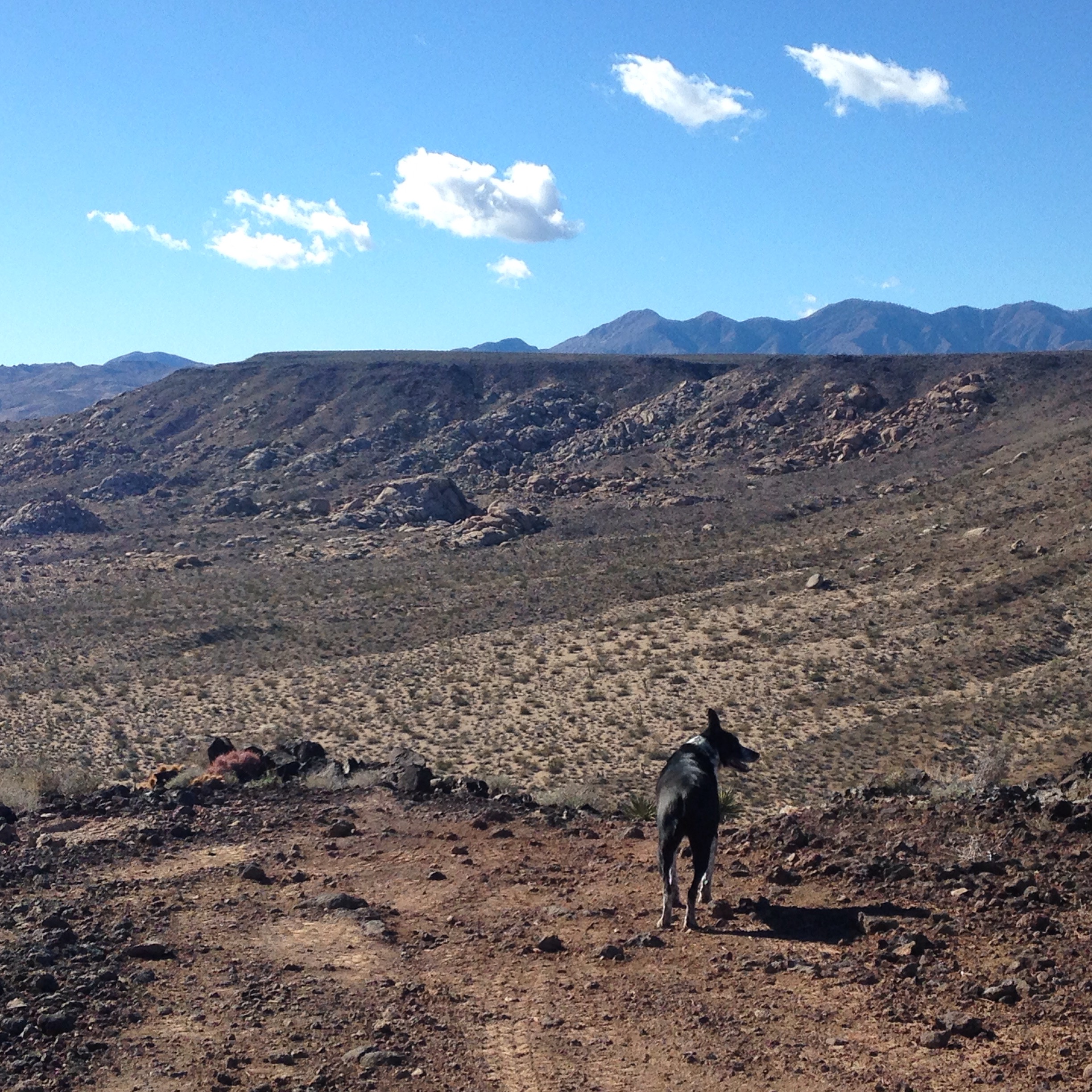 Nice back yard - now the Sand to Snow National Monument