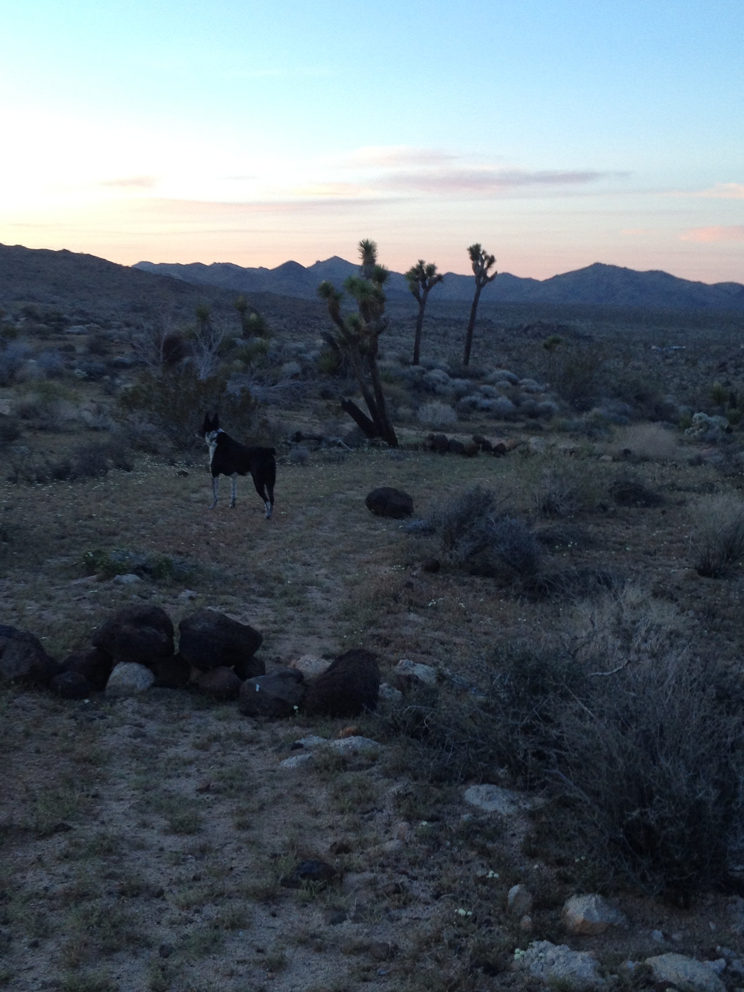 Jemez backyard - on way to RC Ranch Road