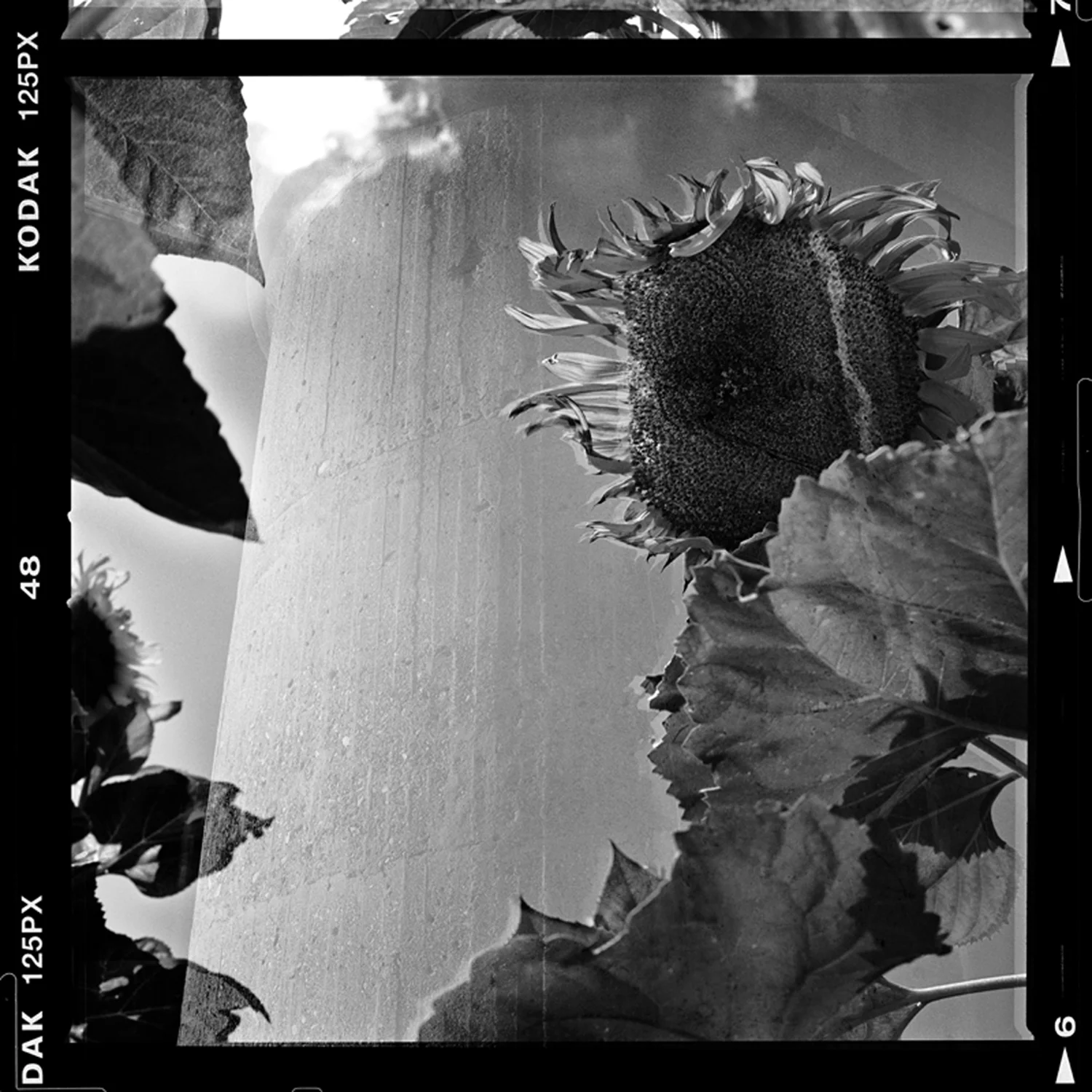 BW_Con12.jpg