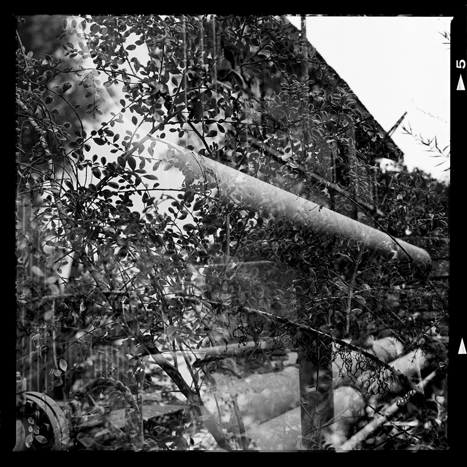 BW_Con04.jpg