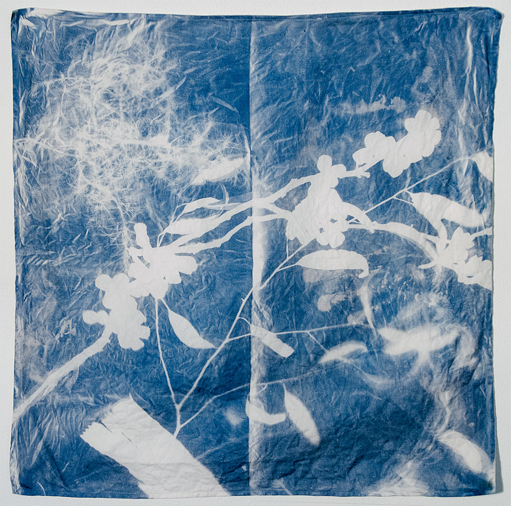 Madison_Napkin_Doug.jpg