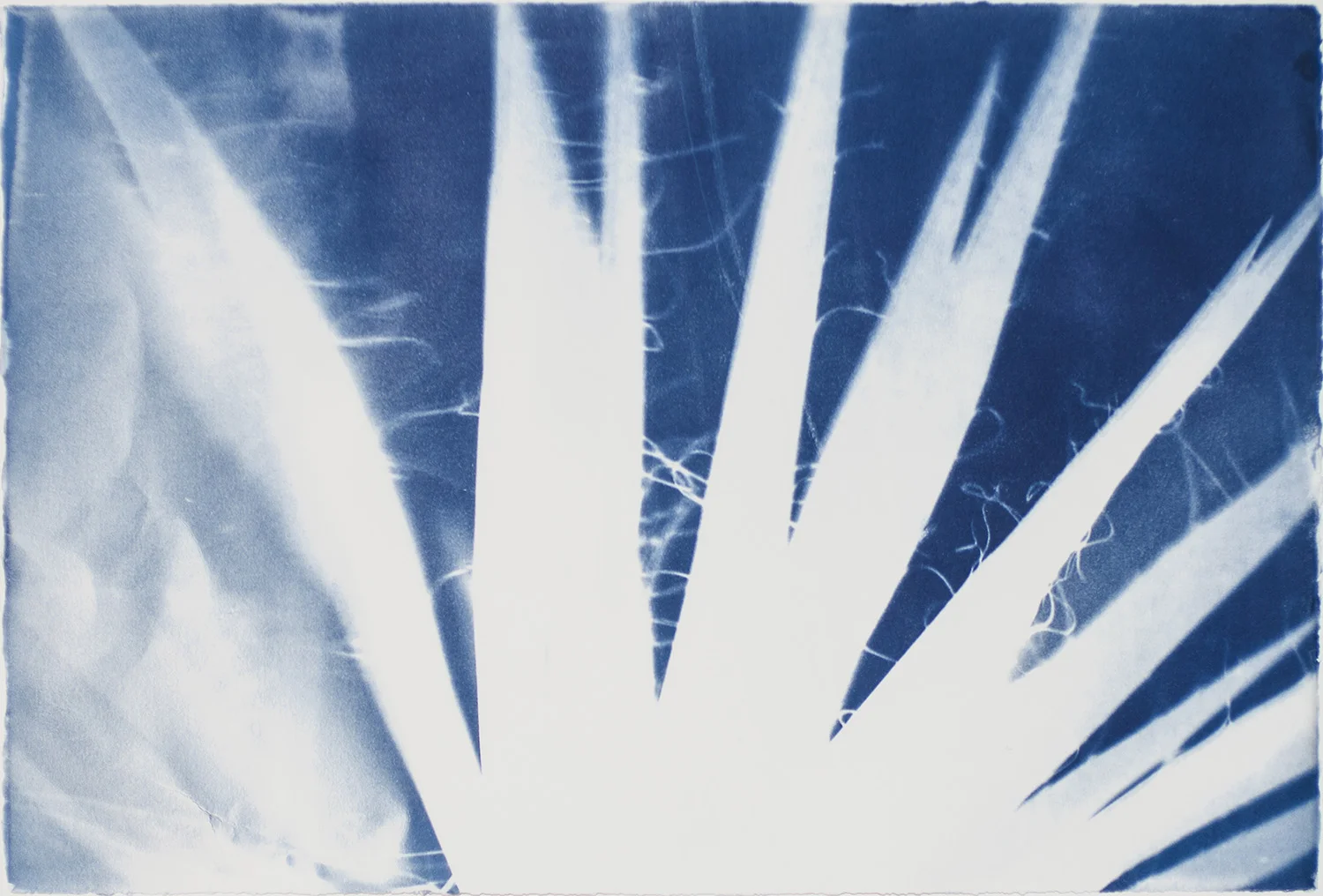 THIS LAND - JEMEZ HOMESTEAD PROJECT - TEMALPAKH