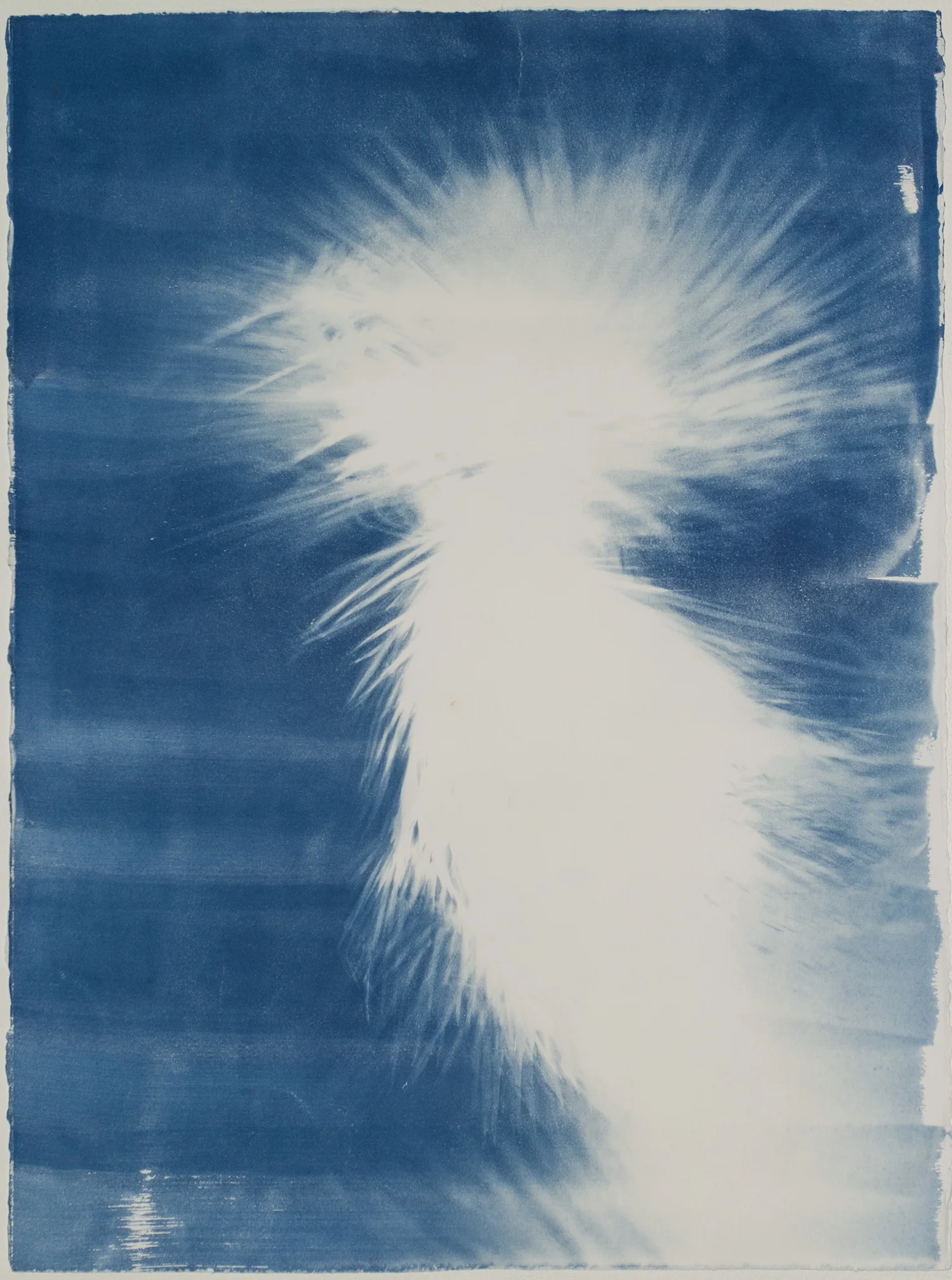 THIS LAND ARTIST BOOK  THIS LAND BOOK PLATES