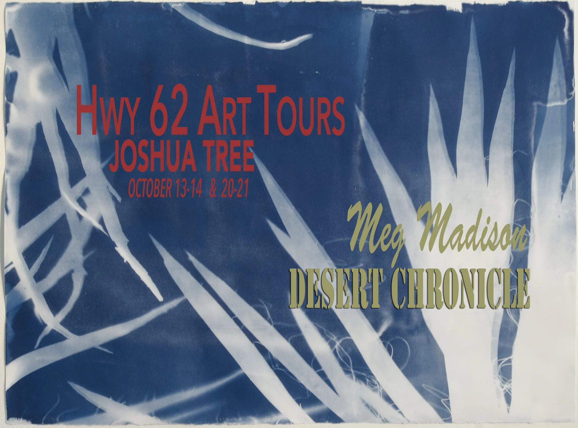 &nbsp; &nbsp; &nbsp; &nbsp; &nbsp; &nbsp; &nbsp; &nbsp; &nbsp; &nbsp; &nbsp; &nbsp; &nbsp; &nbsp; &nbsp; &nbsp; &nbsp;&nbsp;Desert Chronicle , No. 182, Mojave Yucca , 22"&nbsp; x 30"&nbsp; 2017&nbsp;