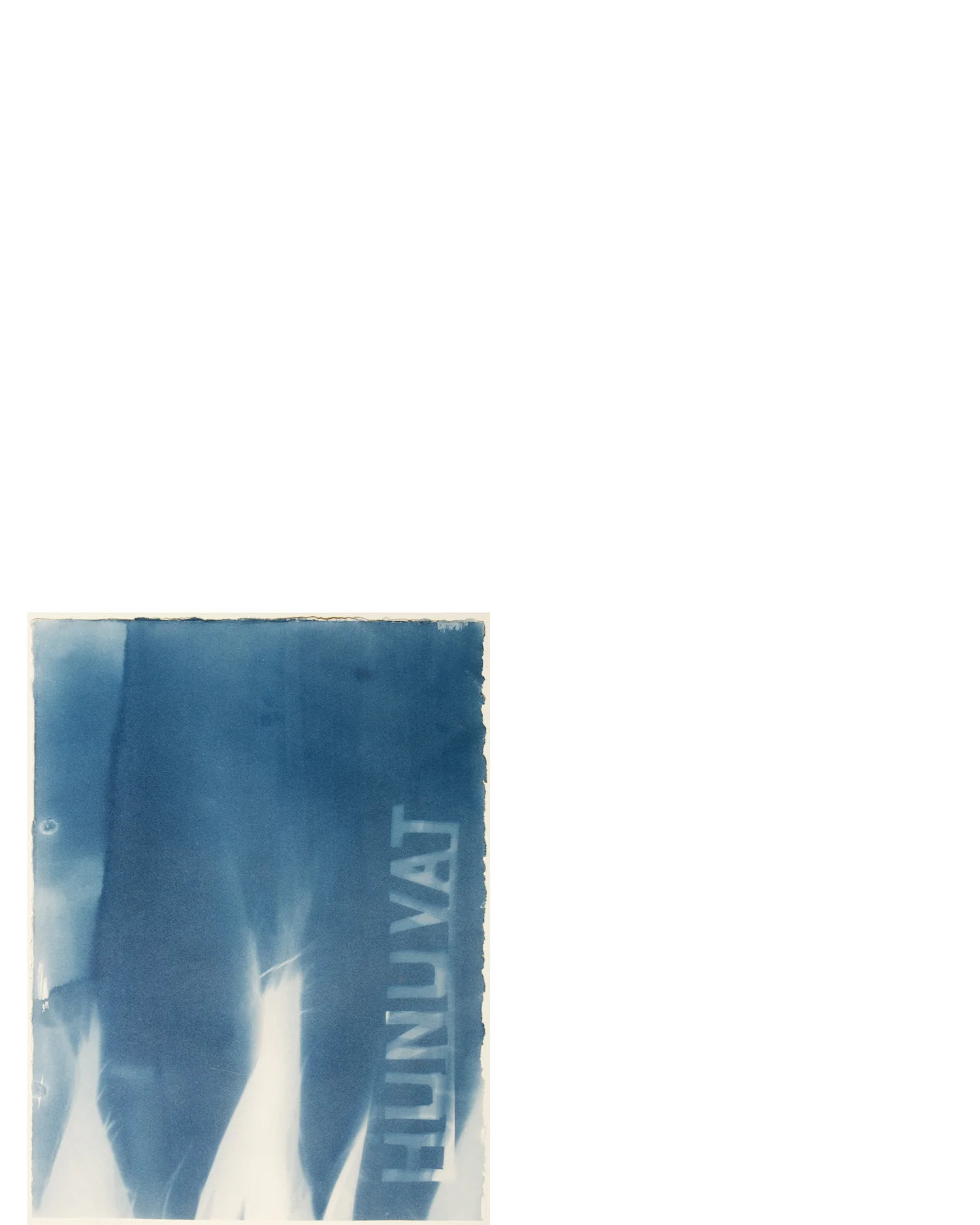 No. 191 “huhuvat” Cahuilla (language) for Yucca schidigera ”Jemez homestead project” on former Mōhíatniyum Serrano land.  Print made with sunlight, wind, shadow of mojave yucca and developed in local well water.  Aug. 2017