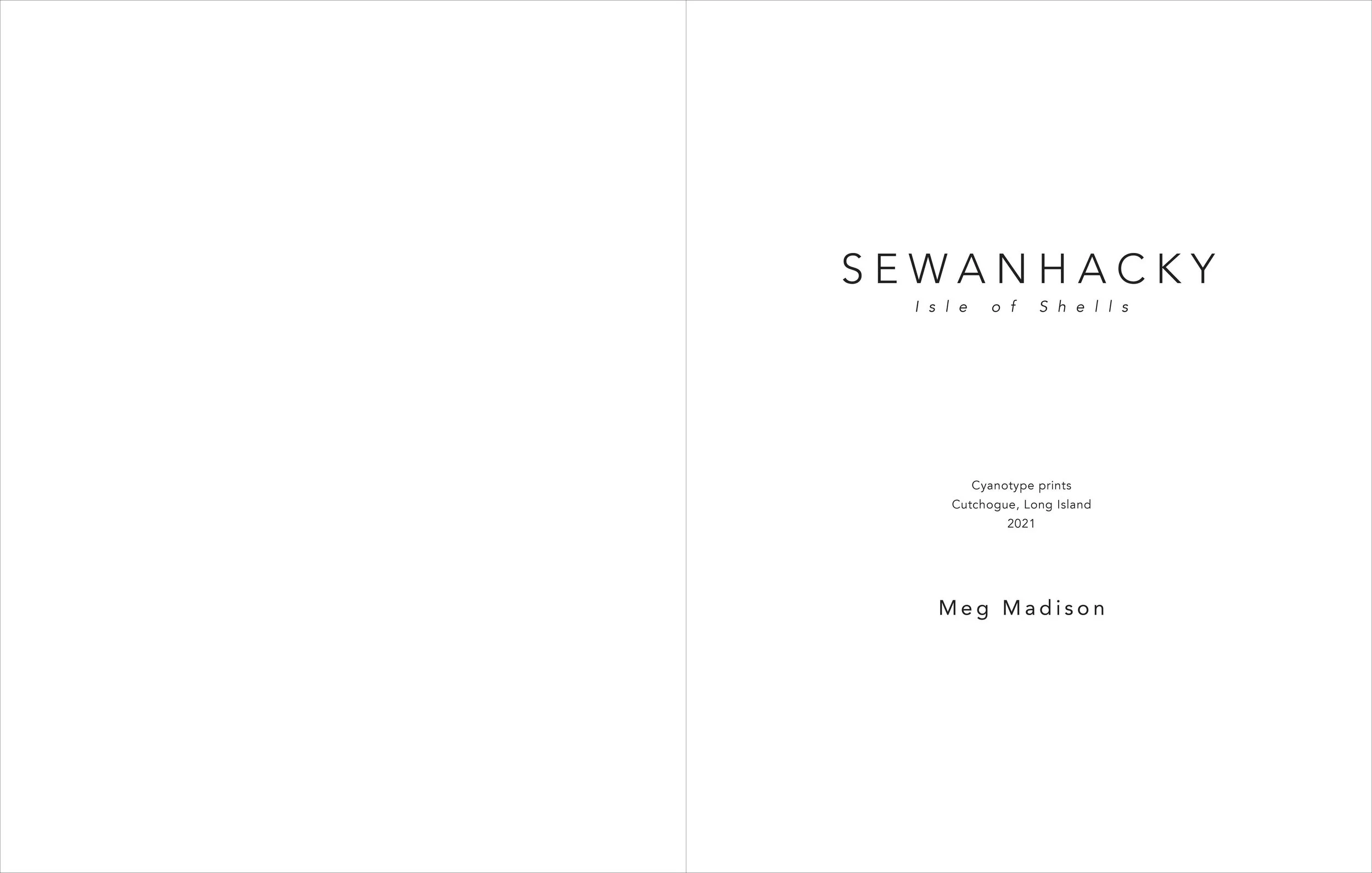 Swanhacky-title.jpg