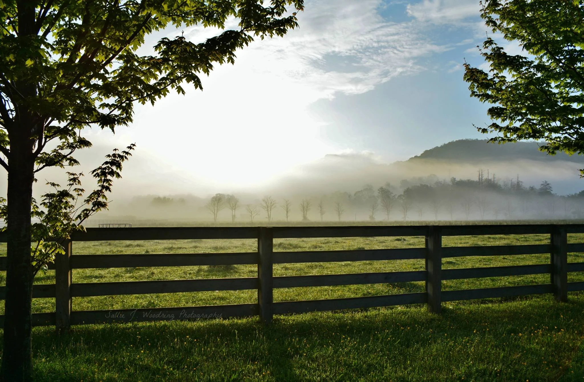 Fence-mountains-sunlight.jpg
