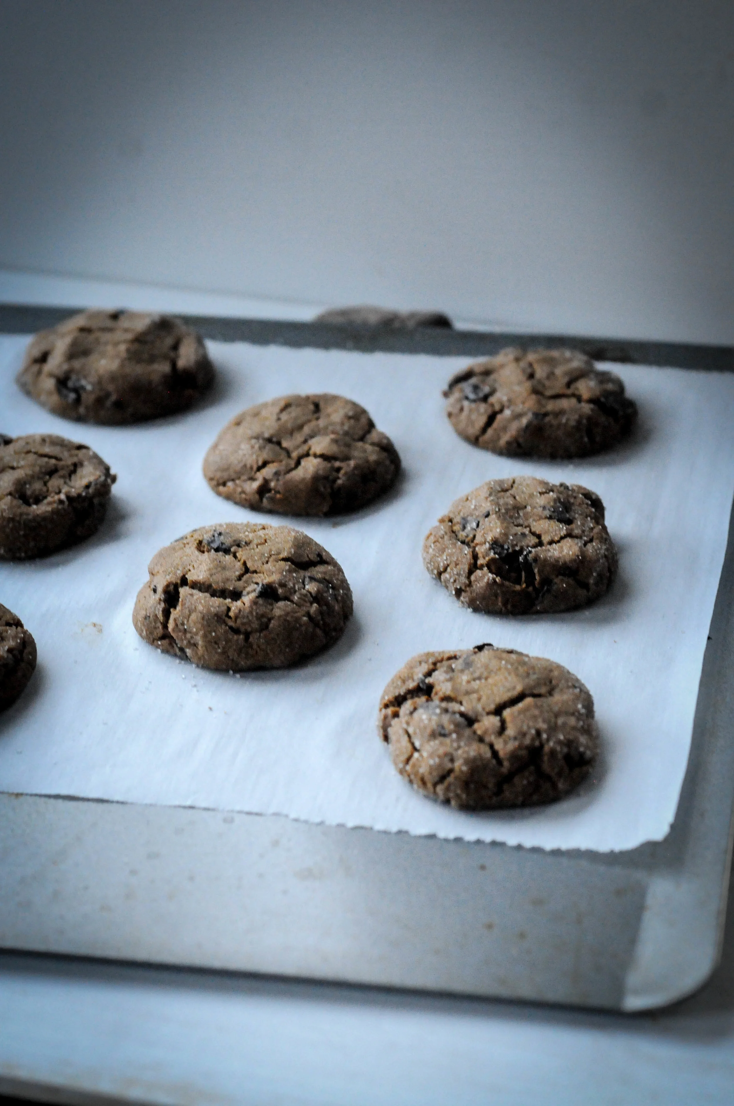 11-11-17 cookie (8 of 10).jpg