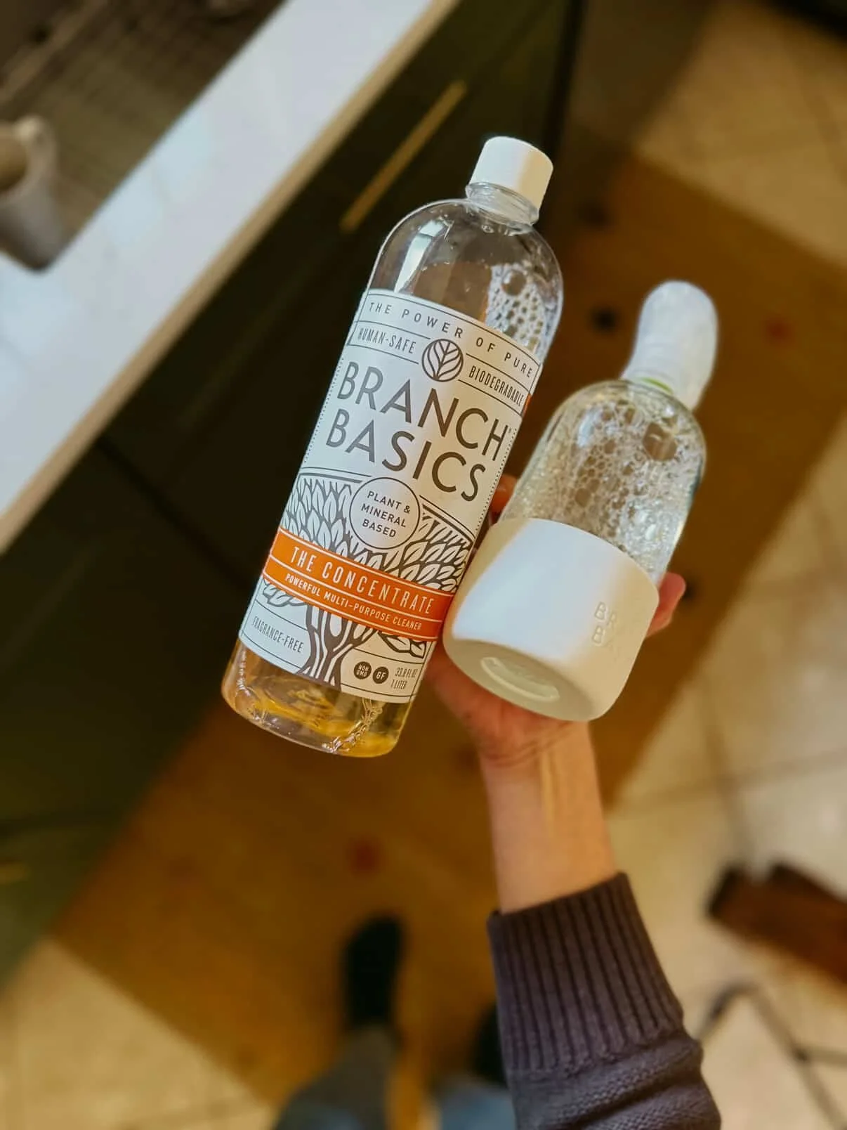 609049362_1186734880338475_5291181287875382755_n (1).jpg