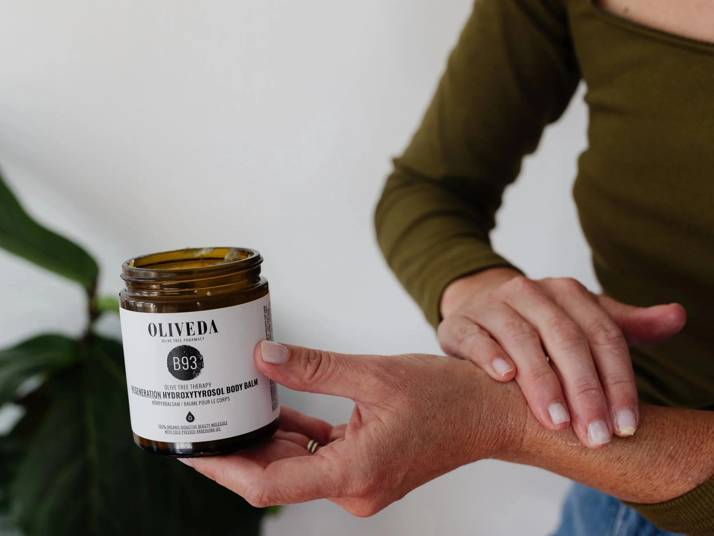 Consultant Enrollment on Olive Tree People - What you need to know!