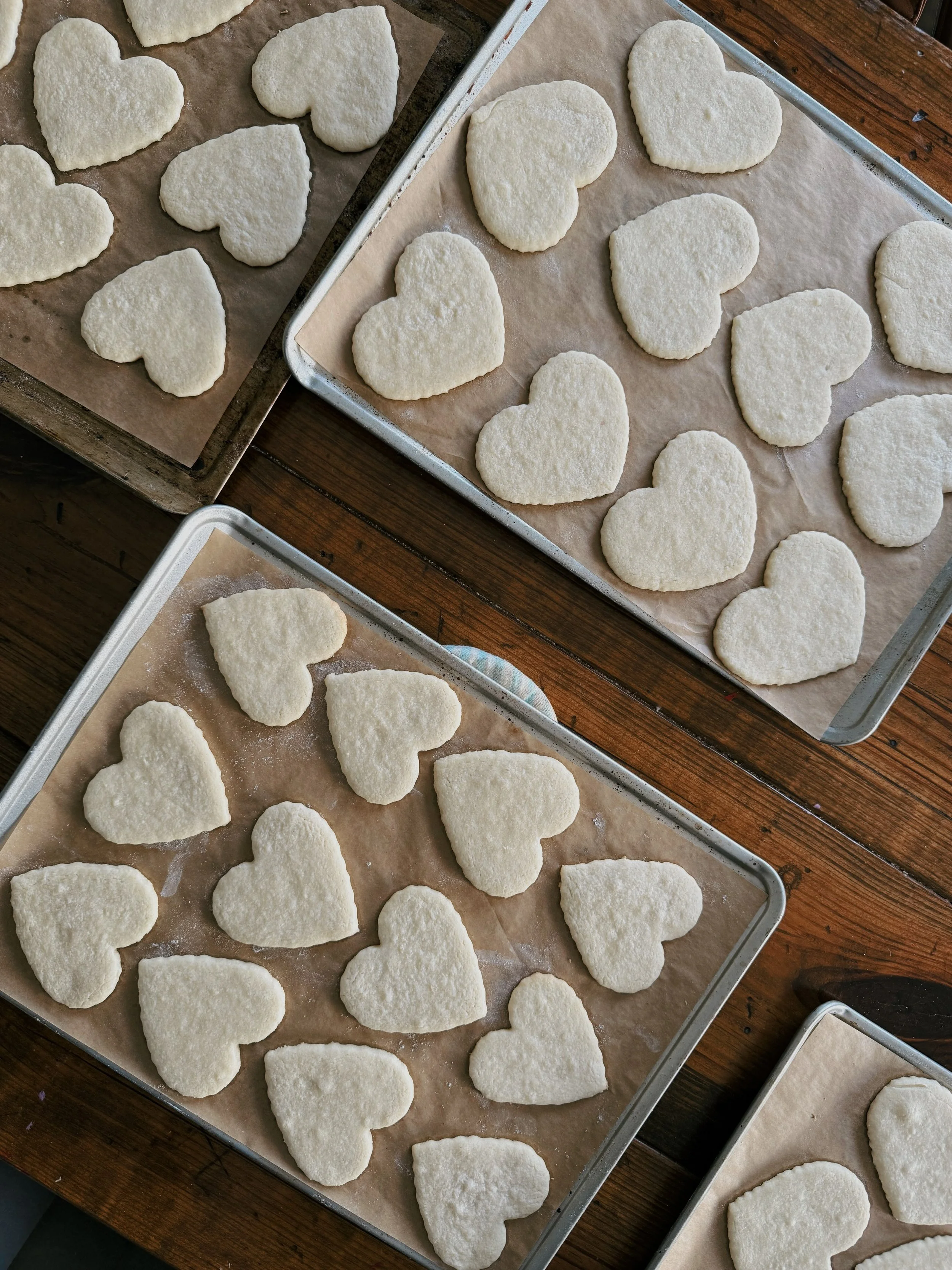 34A87111-18AA-4063-B526-E752C8C80586 (1).JPEG