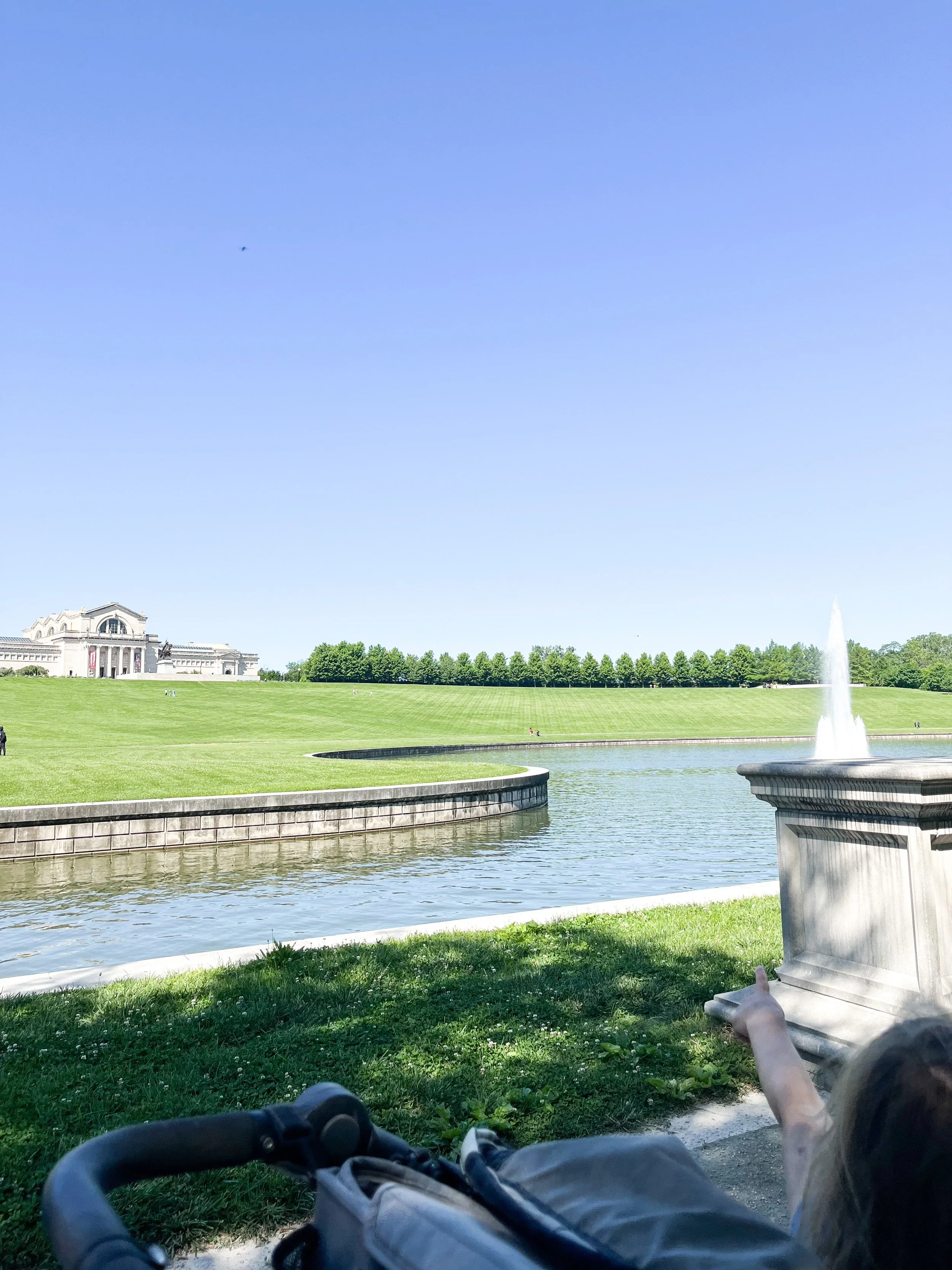 IMG-0813.webp