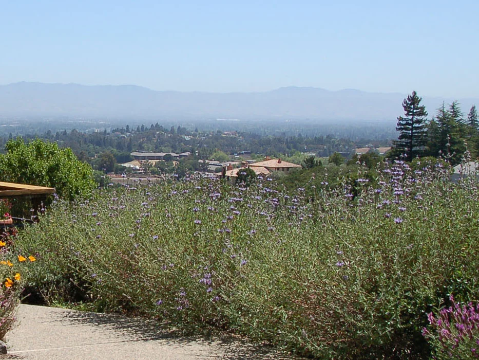 Client: David & Lucile Packard Foundation Location: Los Altos Hills, CA Dates: 2001-ongoing Size: 38 acres Landscape Maintenance: Ragno Ross & Associates