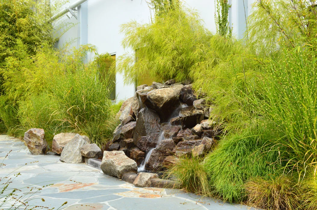 6-ID Courtyard_DSC_0638.jpg