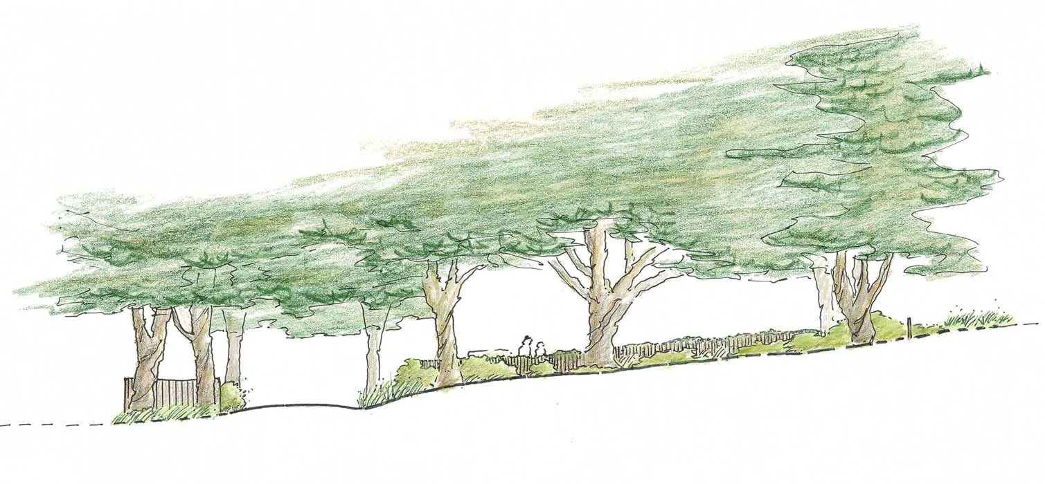 8-Section A.jpg