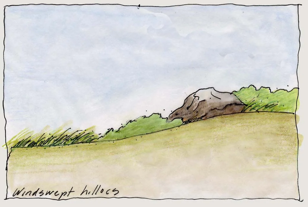 4-Wind Swept Hill.jpg