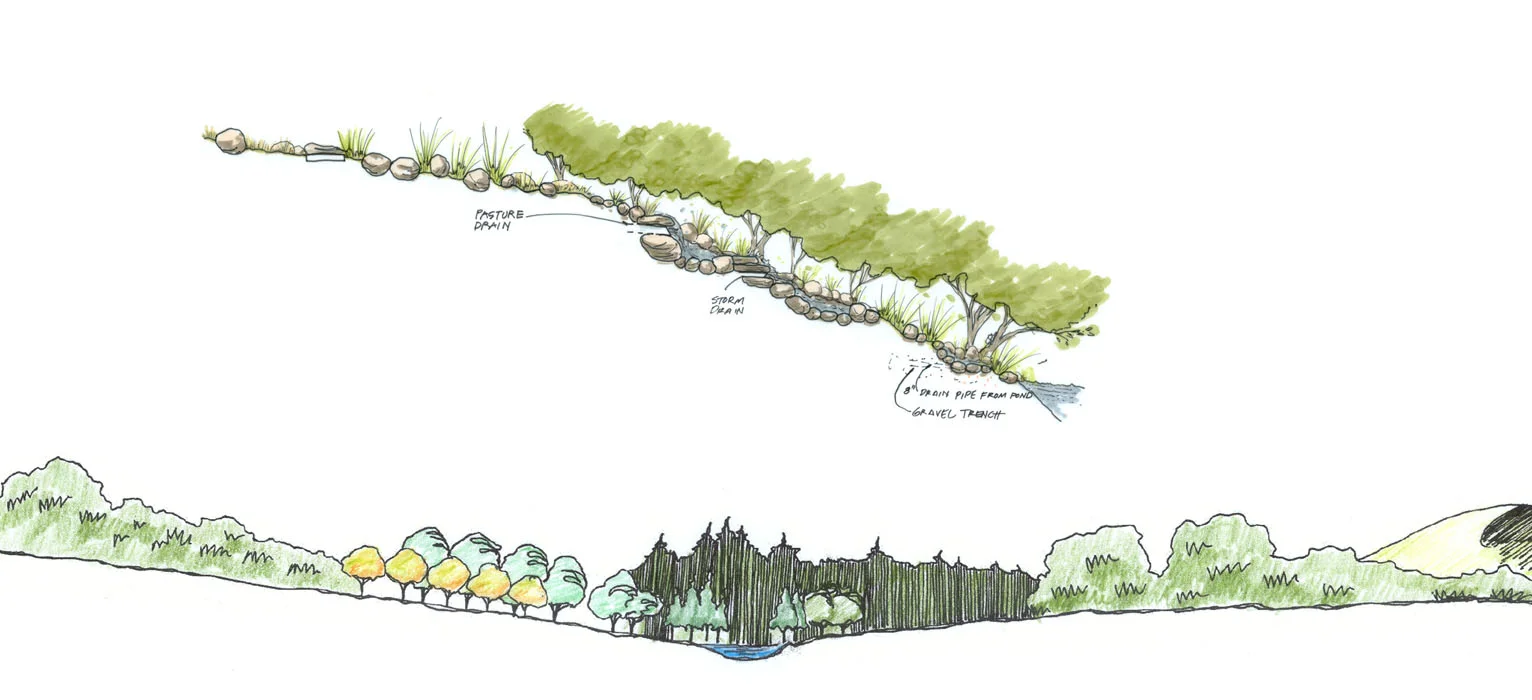 7-Buffalo Valley _MP_section view.jpg