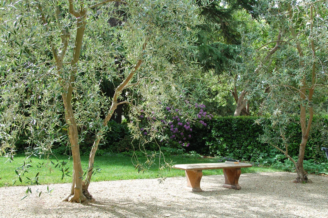8-Kadifa 20130529_20.jpg