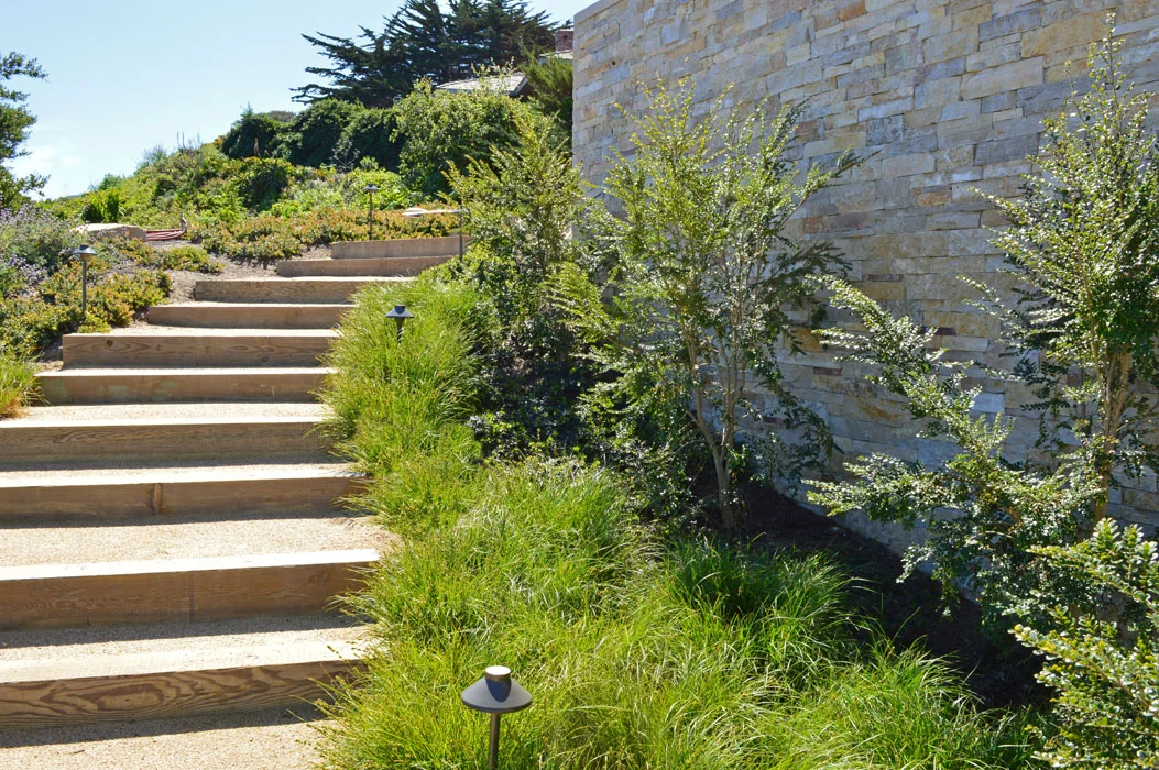 Client : Private client Location : Carmel, CA Dates : 2011-2013 Size : 17,750 s.f. Architect : Jon Sather Erlandson Landscape Contractor : Town & Country Landscaping Custom Planter Manufacturer : George H. Wilson, Inc.