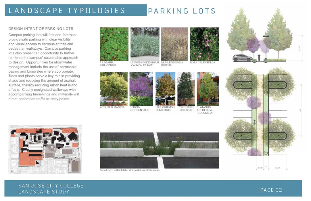 5-2015-05-06 SJCC Landscape Study_landscape typologies-parking lots.jpg